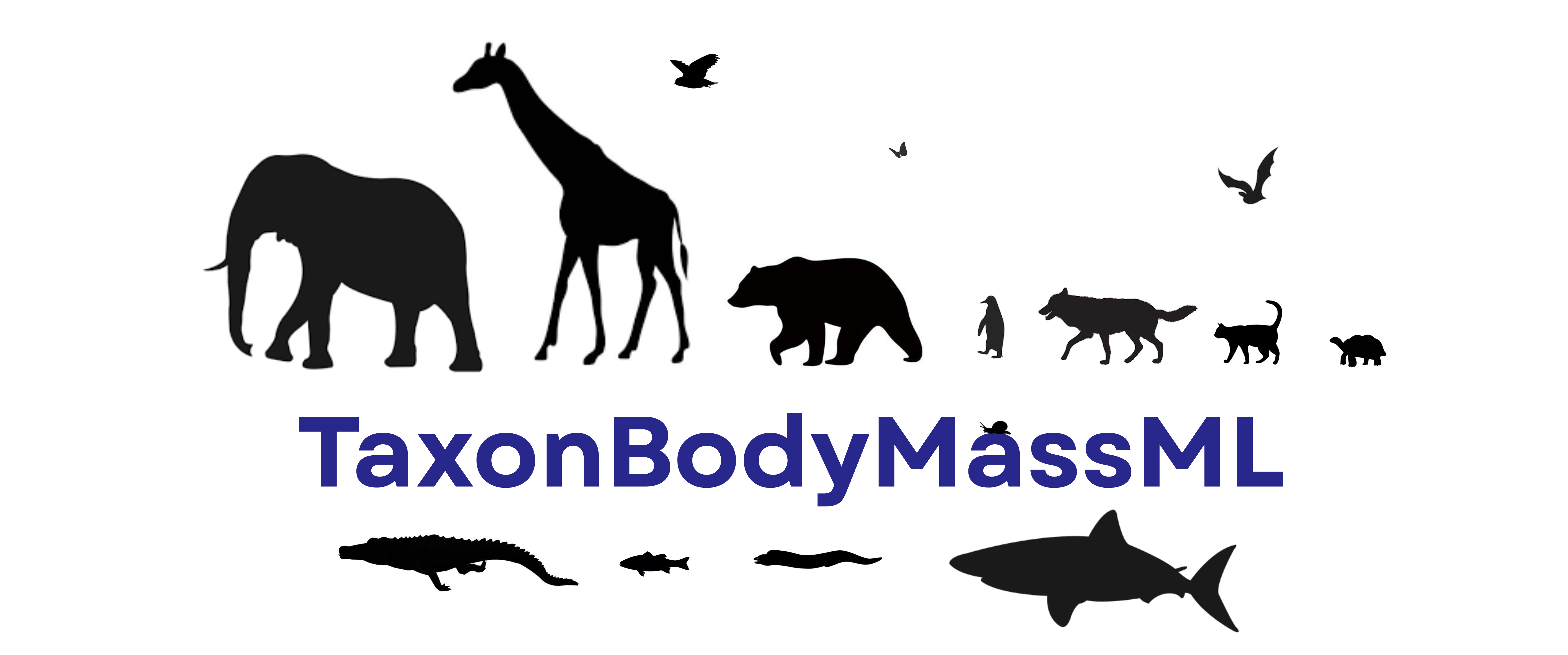 animal silhouettes graphic