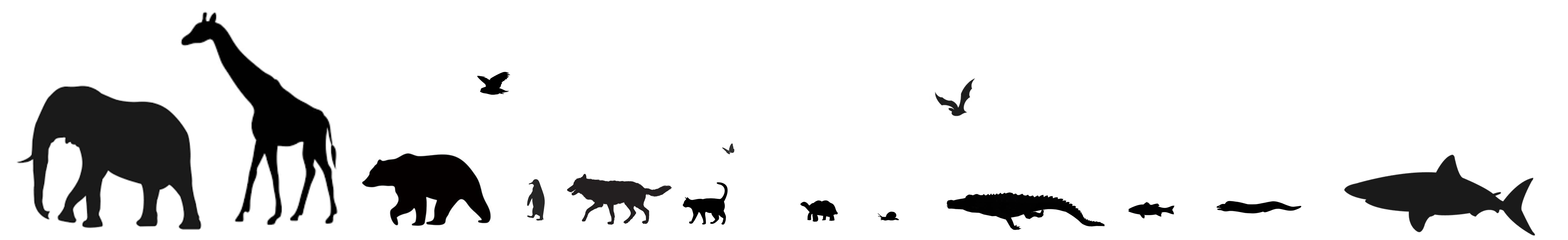 longer animal silhouettes graphic